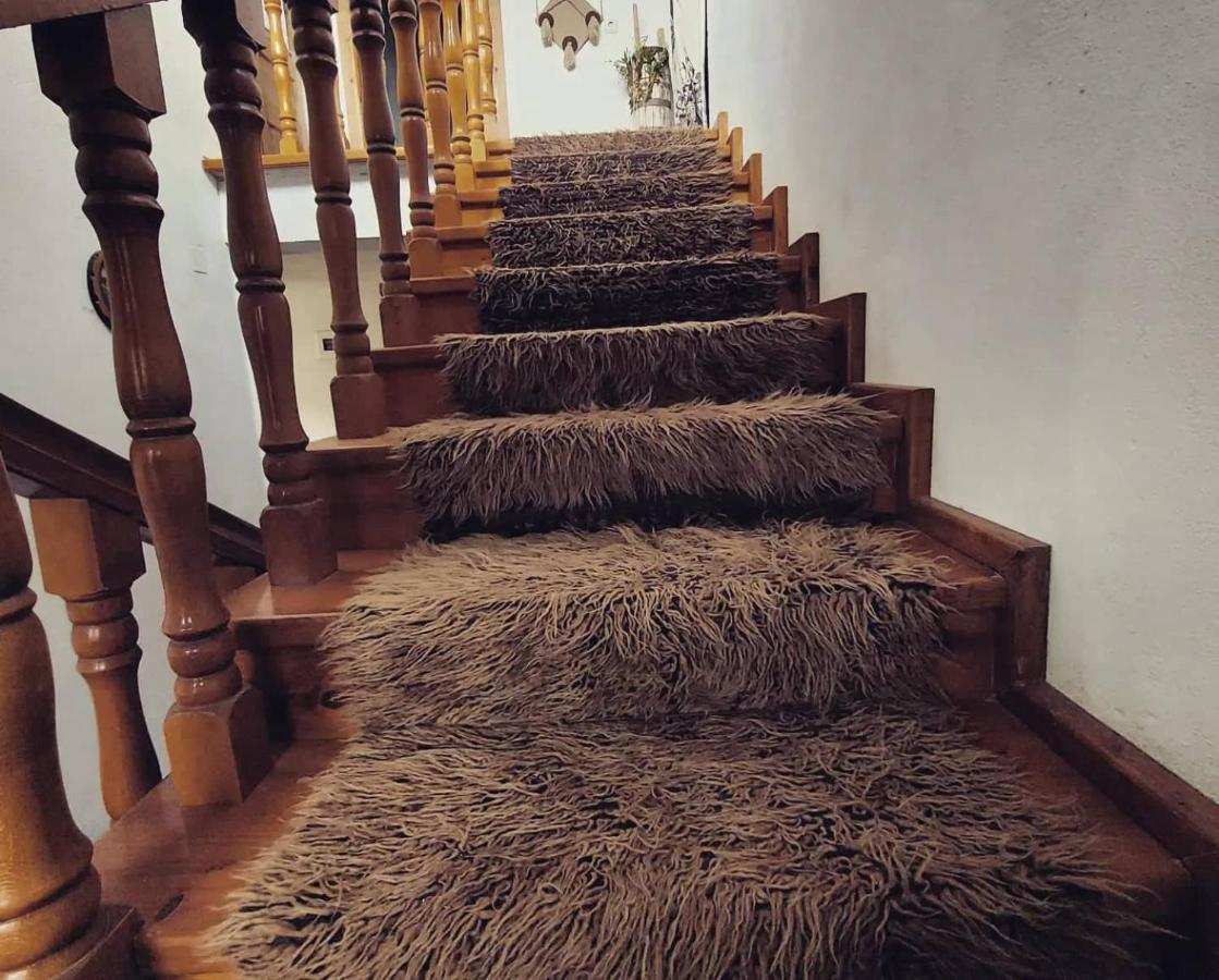 Prespa'S Balcony Guesthouse Dolna Gorica Zewnętrze zdjęcie