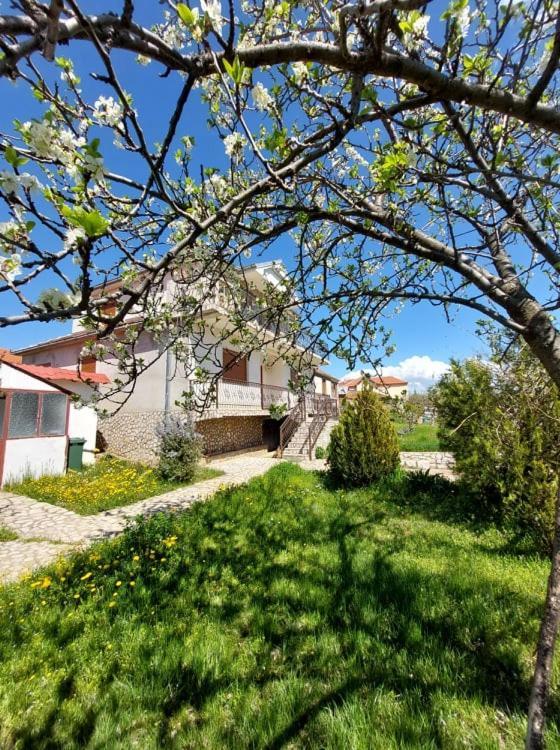 Prespa'S Balcony Guesthouse Dolna Gorica Zewnętrze zdjęcie