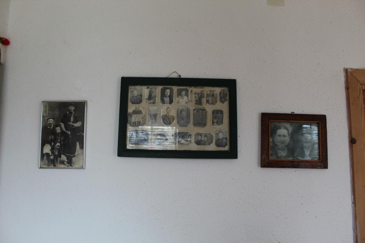 Prespa'S Balcony Guesthouse Dolna Gorica Zewnętrze zdjęcie