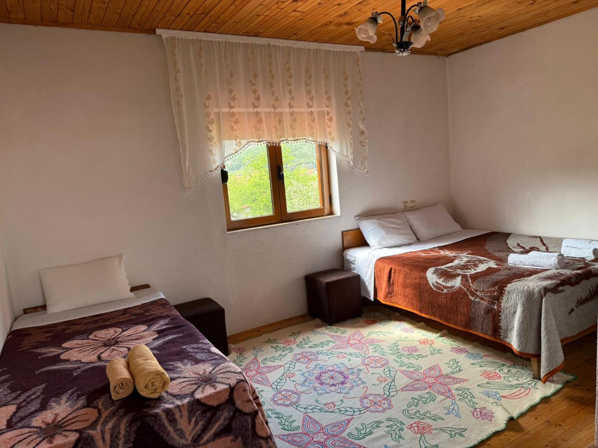 Prespa'S Balcony Guesthouse Dolna Gorica Zewnętrze zdjęcie