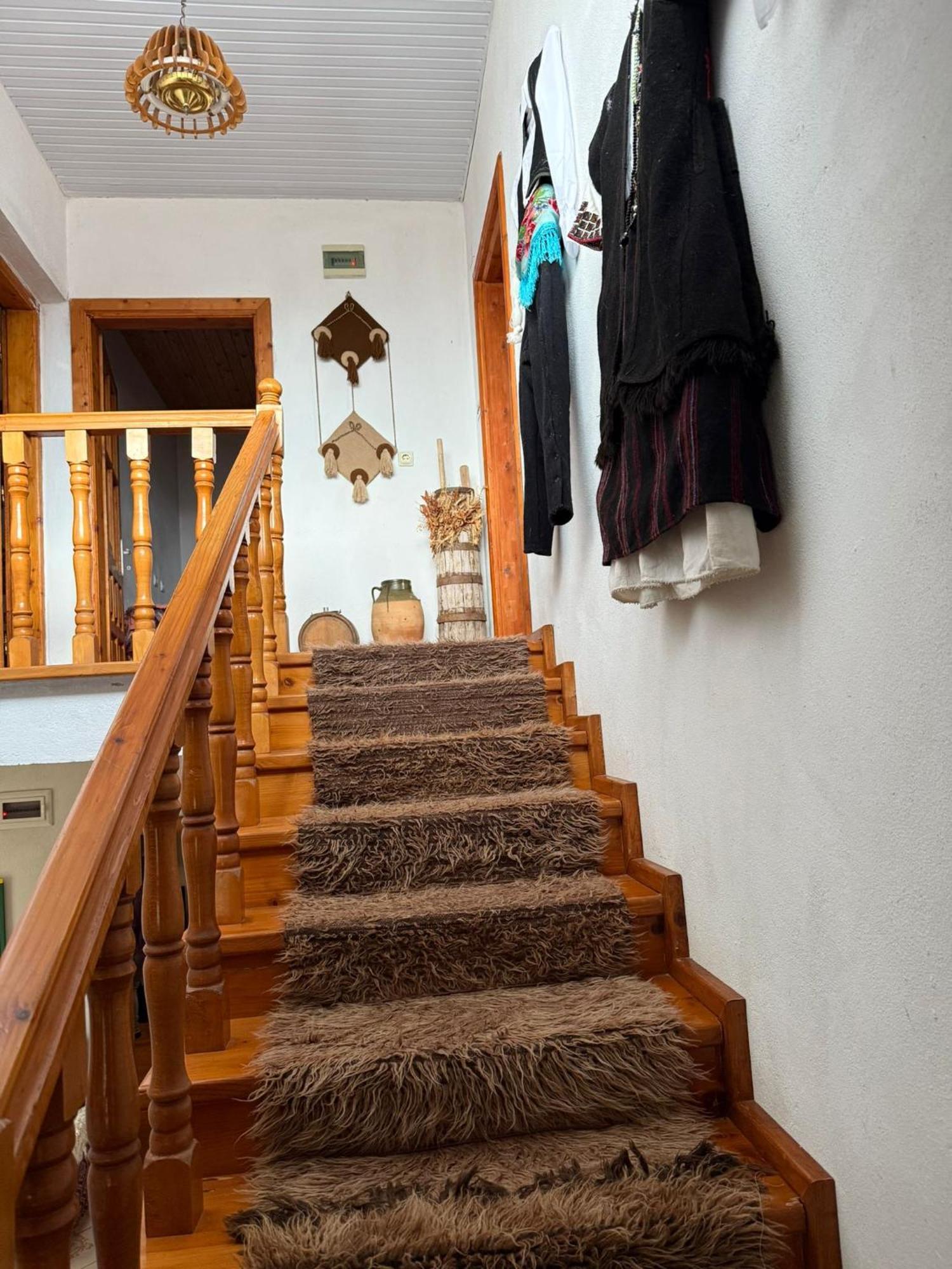Prespa'S Balcony Guesthouse Dolna Gorica Zewnętrze zdjęcie